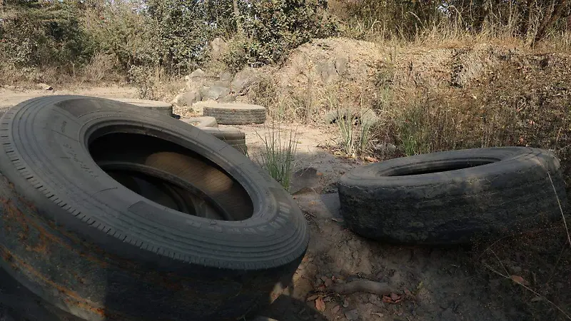 Existen tramos desérticos, cuando apenas hace tres años eran territorios frondosos.
